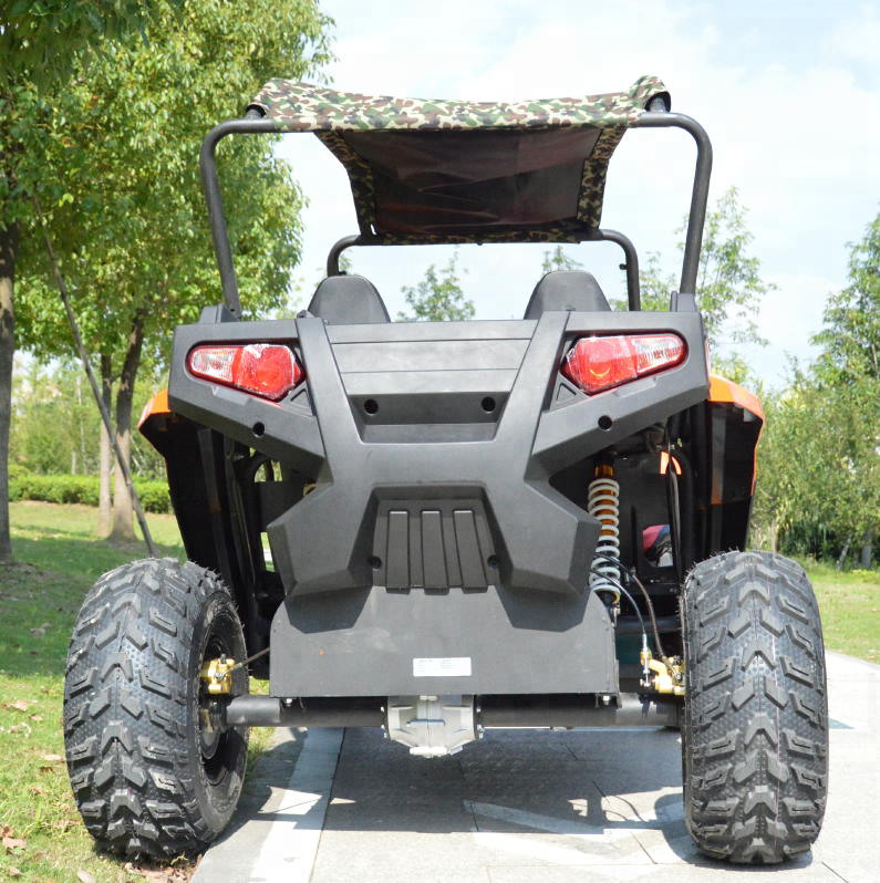 Powerful off road 2200w 3000w adult electric UTV