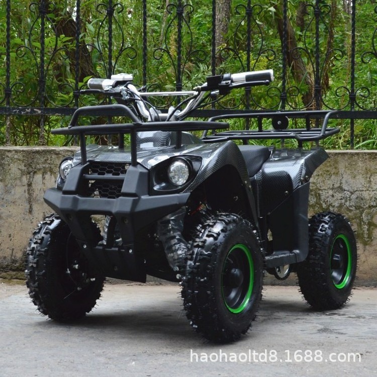 high quality cheap  electric atv 500w 800w 1000w electric motorcycles  mini  quad