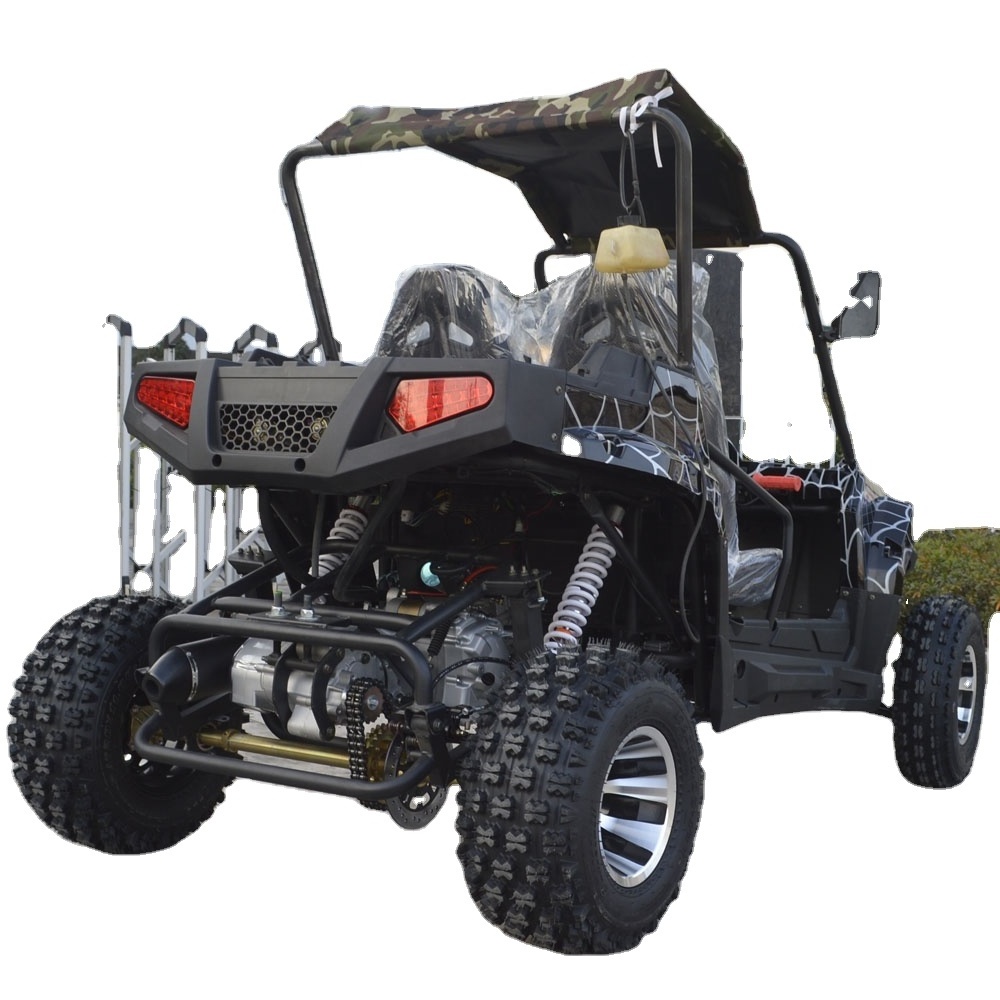 300cc UTV and dune buggy for farms