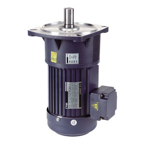 1/8HP 100w 0.1kw vertical installation type straight gear reducer motor high  torque three 3 phase 220v 380v gear motor