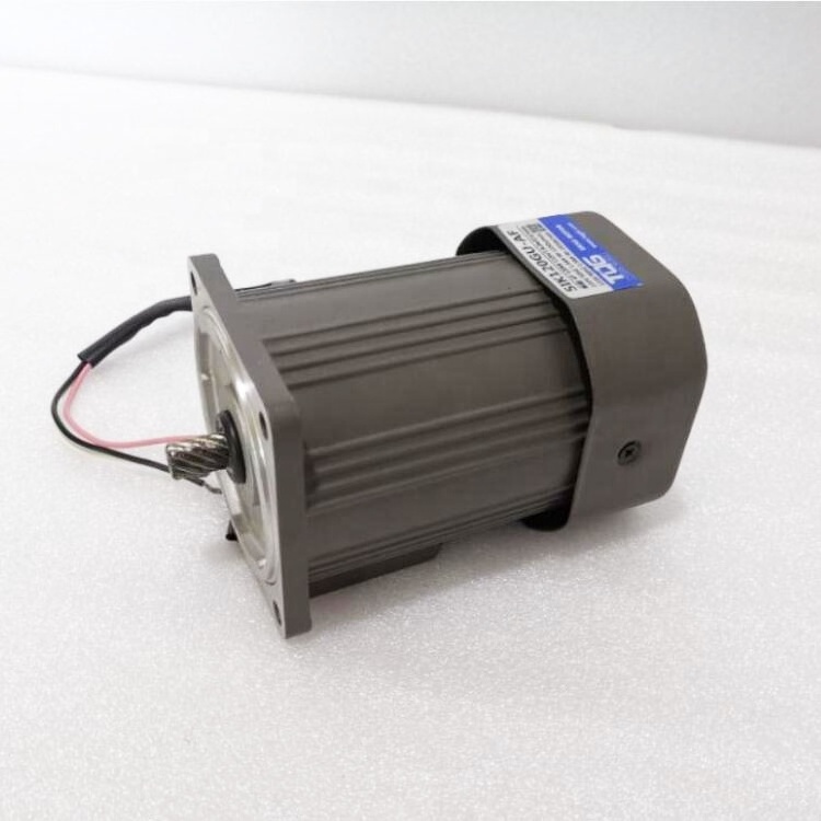 Micro Ac gear motor 110V 120V 220V 230V induction single phase with gearbox spur gear small electric gear motor 90mm