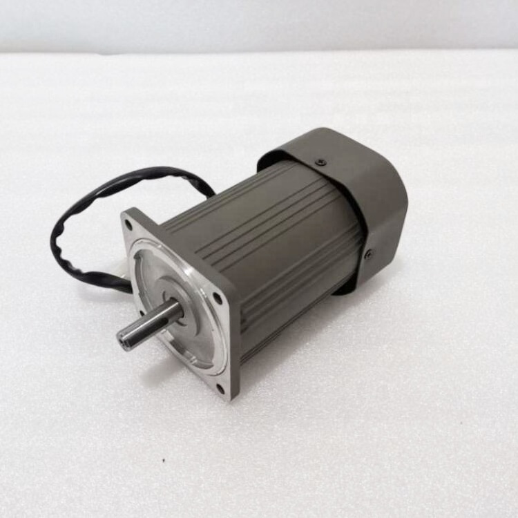 Micro Ac gear motor 110V 120V 220V 230V induction single phase with gearbox spur gear small electric gear motor 90mm