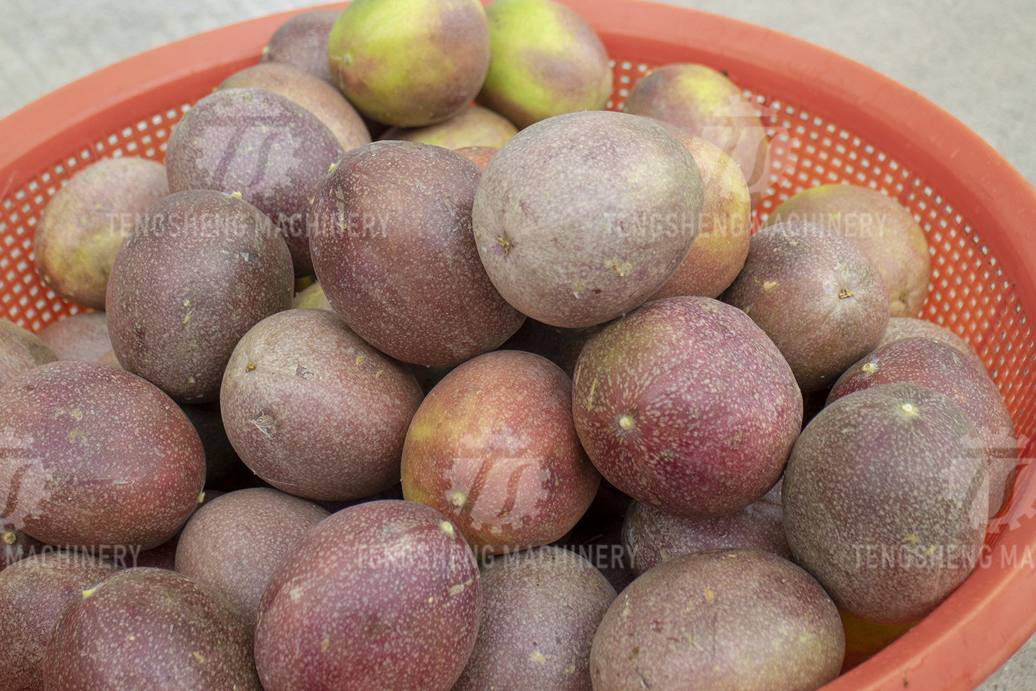 Automatic Tomato Dates Apple Sorting Machine Production Line Fruits And Vegetables Washing Machines And Drying Machines