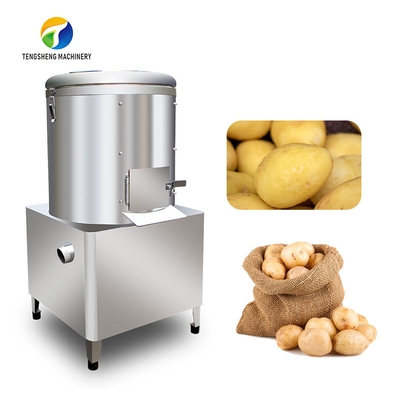 TS-P10 potato peeling and washing machine/small potato peeler and washer machine