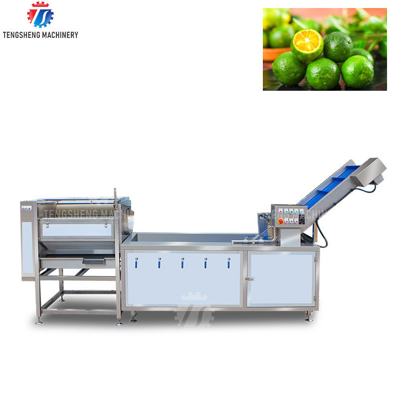 Automatic Pear Avocado Mango Orange Roller Washing Cleaning Straw Removal Machine Fruit Citrus Washing Production Line