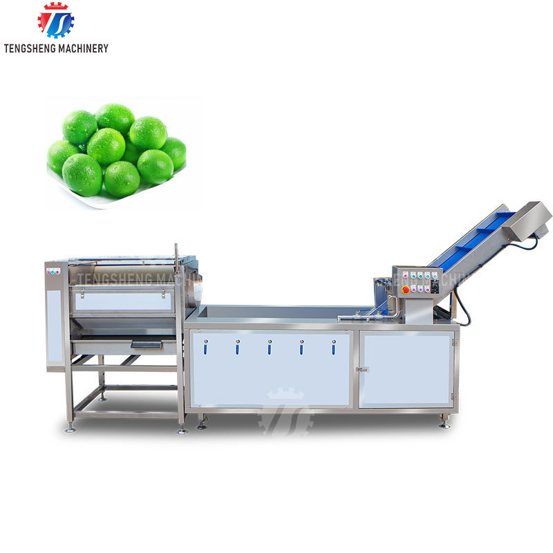 Automatic Pear Avocado Mango Orange Roller Washing Cleaning Straw Removal Machine Fruit Citrus Washing Production Line