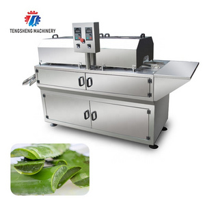 Multifunctional Automatic Aloe Peeler/Cactus Peeling Machine Food Processor TS-P180