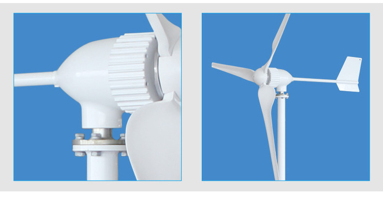 Full Power 24v 48v rated 800W 1000W 1KW Wind Turbine Generator type M5