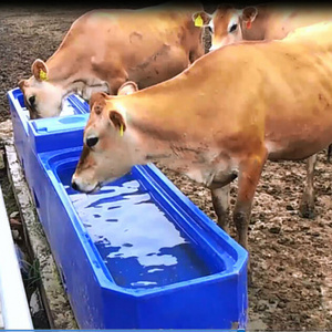 Plastic cows drinking troughs livestock waterer automatic stock tanks float drinker