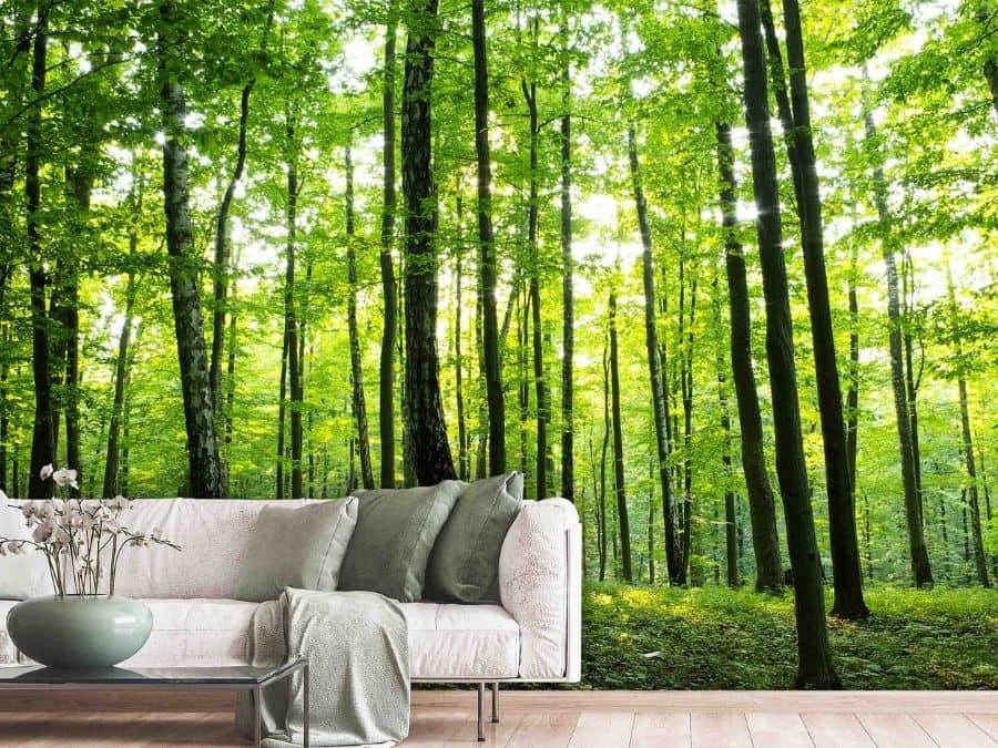 Foggy Forest Woodland Wallpaper Green Nature Landscapes Wall Murals Wallpaper for Bedroom Living Room