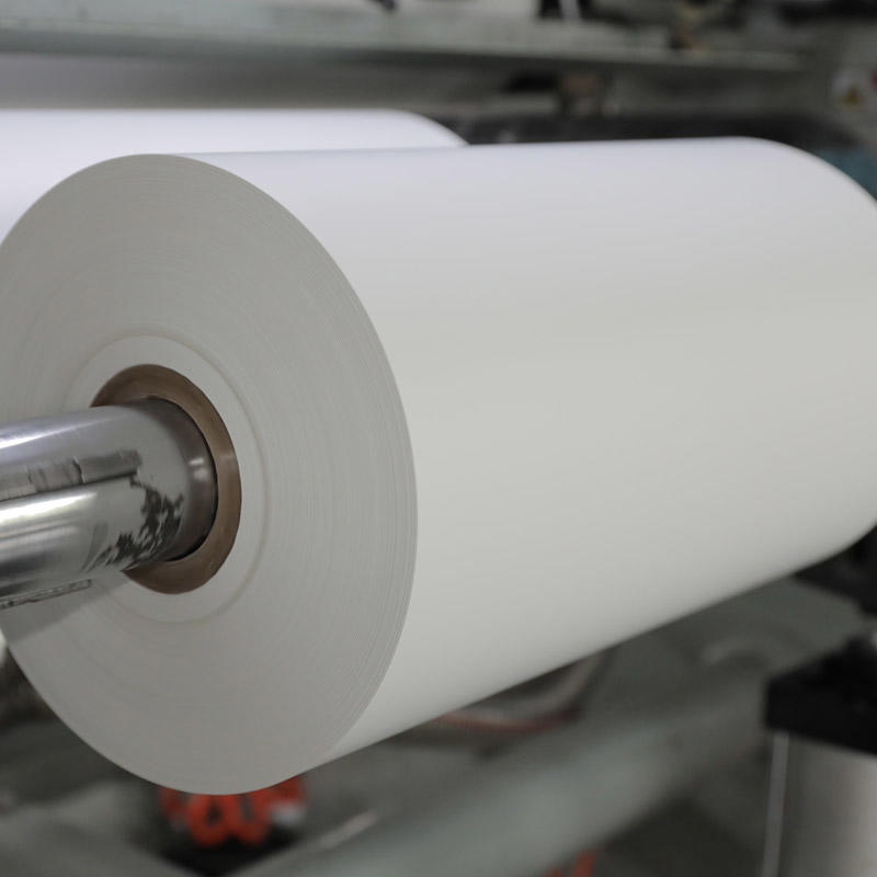 High quality pe coated paper large roll environmentally friendly release paper