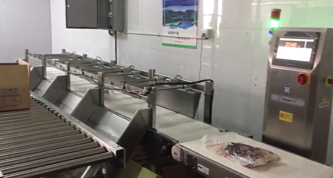 Conveyor Belt Automatic Electronic Counting Weighing Scales