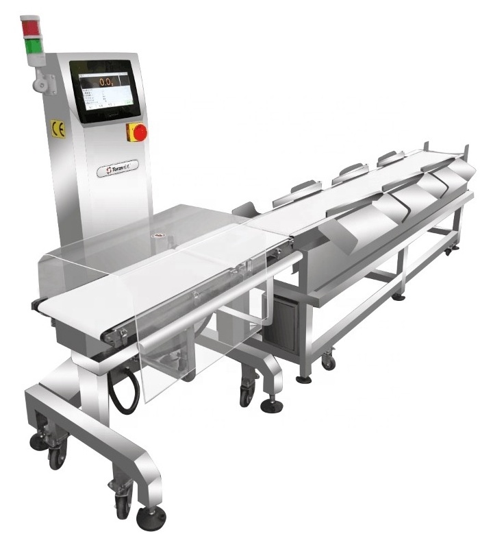 Conveyor Belt Automatic Electronic Counting Weighing Scales