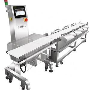 Conveyor Belt Automatic Electronic Counting Weighing Scales