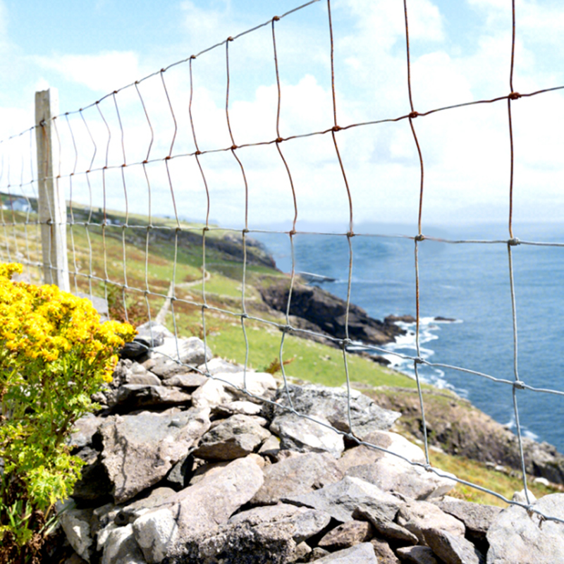 High Tensile 1.8 M Galvanized Steel Wire Low-Priced Farm Fence for Sheep/Goat Field for Gate and Cattle for Steel Wire Use