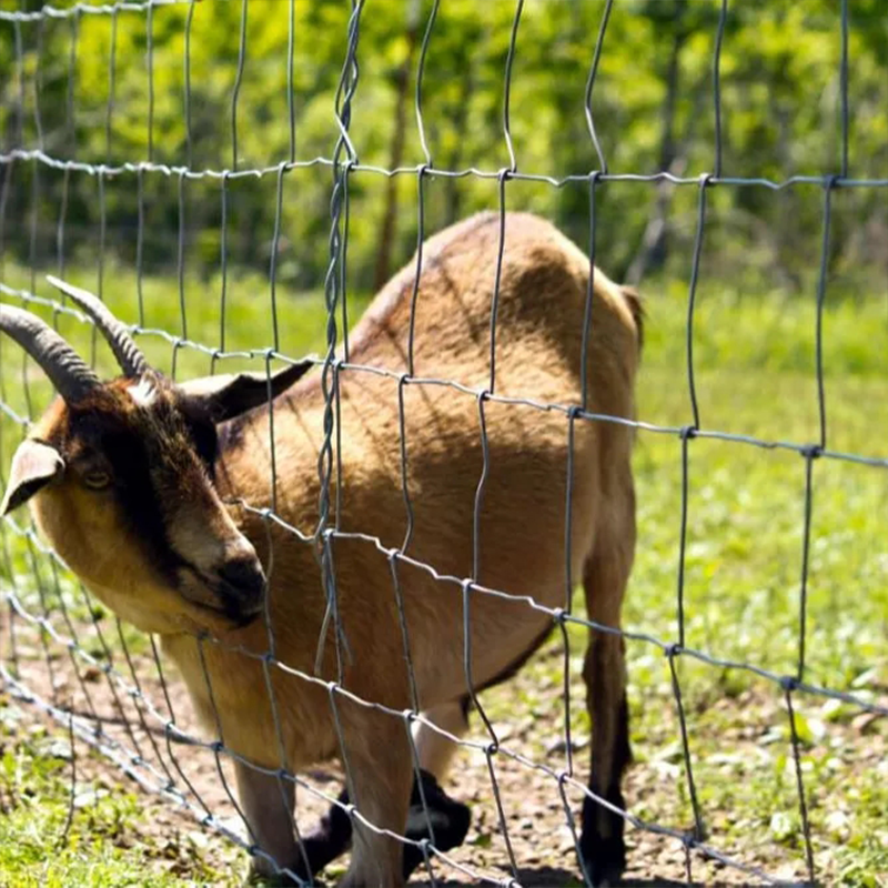 High Tensile 1.8 M Galvanized Steel Wire Low-Priced Farm Fence for Sheep/Goat Field for Gate and Cattle for Steel Wire Use