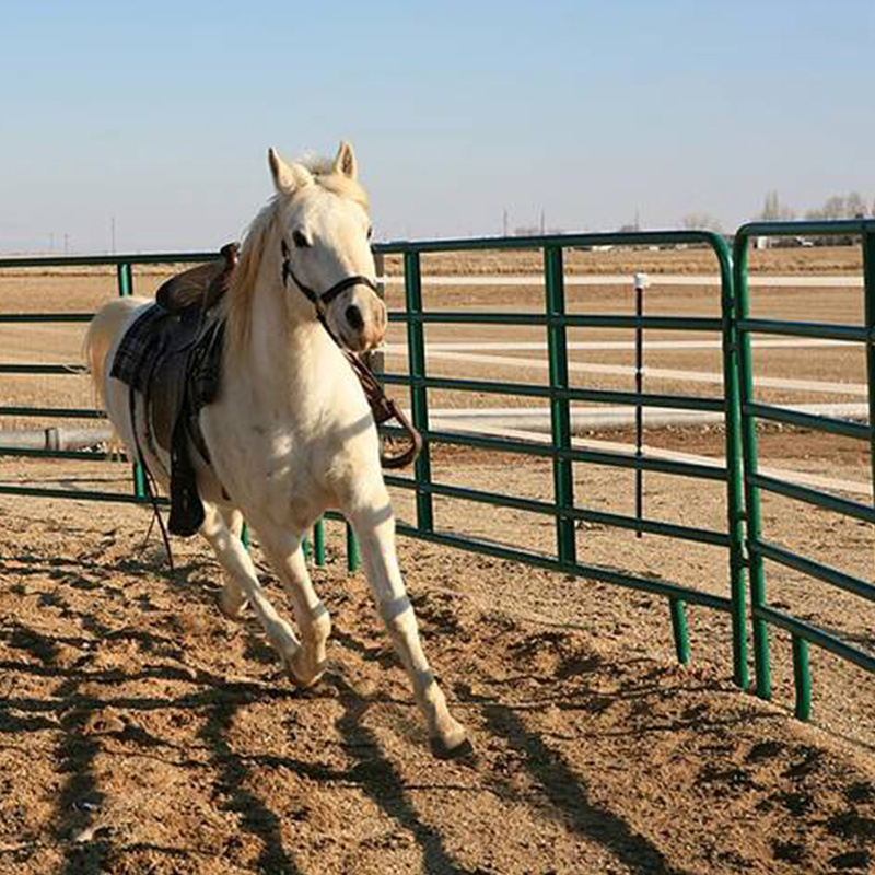 Hot Sale Heavy duty Livestock Cattle Corral Fence and Horse Round Pen Panels