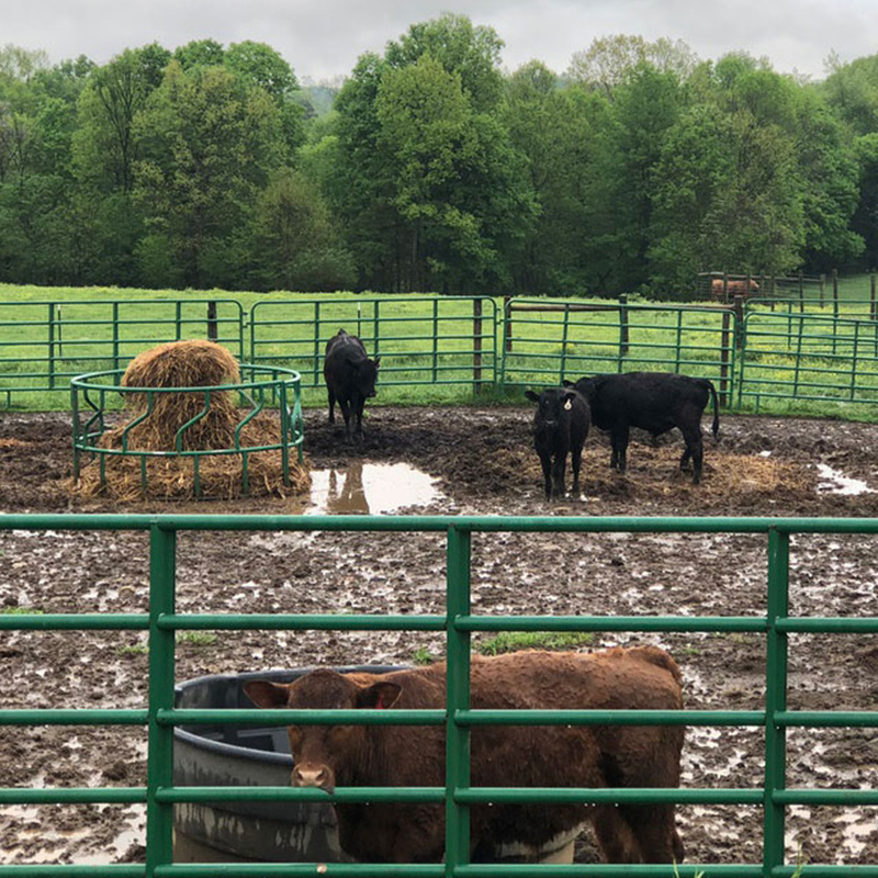 Hot Sale Heavy duty Livestock Cattle Corral Fence and Horse Round Pen Panels