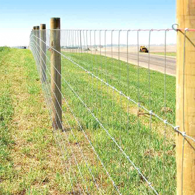 Manufacturer Galvanized Wire Mesh for Farm Fence