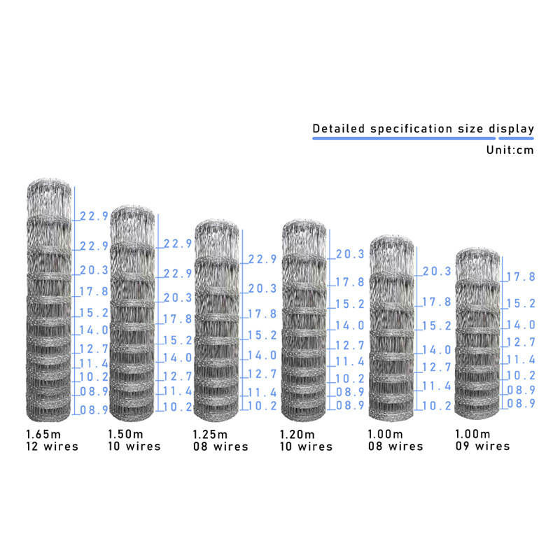 Manufacturer Galvanized Wire Mesh for Farm Fence