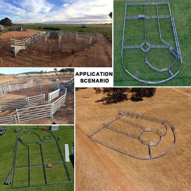 Livestock Steel Tubing Corral Panels Used 3/4 rails Galvanized Cattle Horse Fence Panel