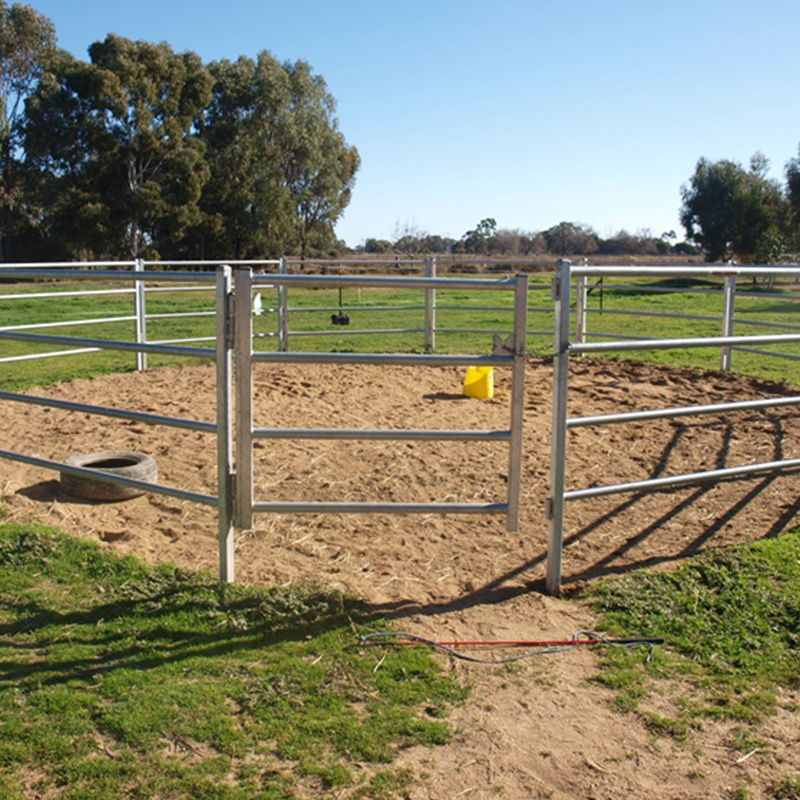 4 Rail Vinyl Building a Horse Rail Field Fence Horse Mesh Gate for Sale