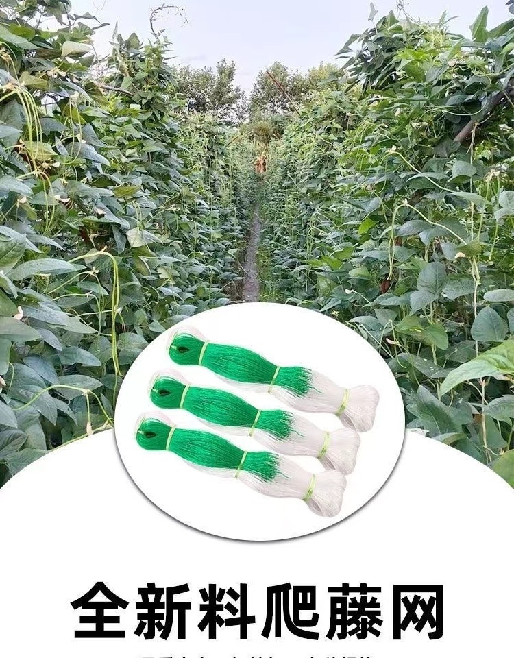 PP PE Cucumber Trellis Netting Tomato Climbing Net Plastic Net For Plant Climbing