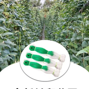 PP PE Cucumber Trellis Netting Tomato Climbing Net Plastic Net For Plant Climbing