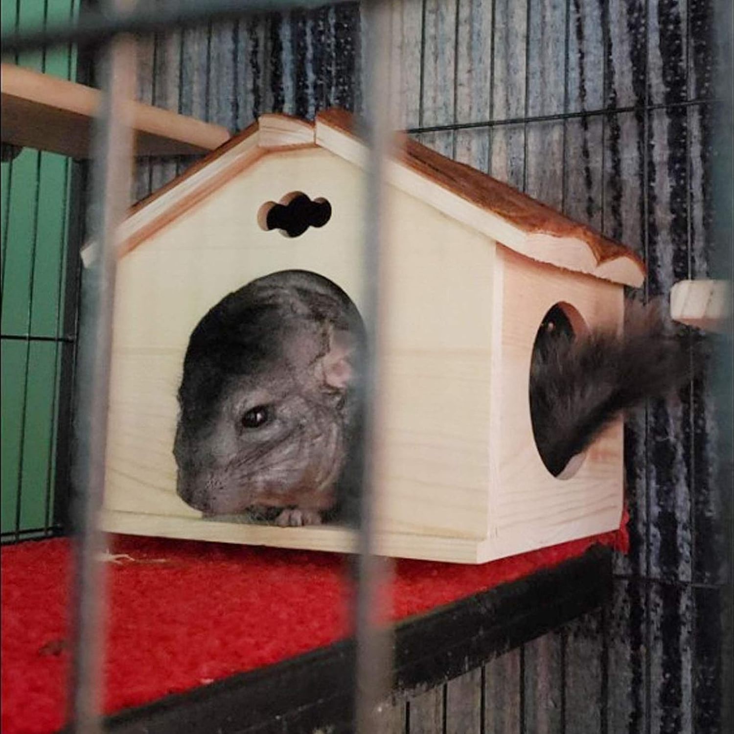 Chinchilla Space Natural House with Window Pets Large Hideout Play Hut for Gerbil Ferret Squirrel Rats Mice Hedgehog