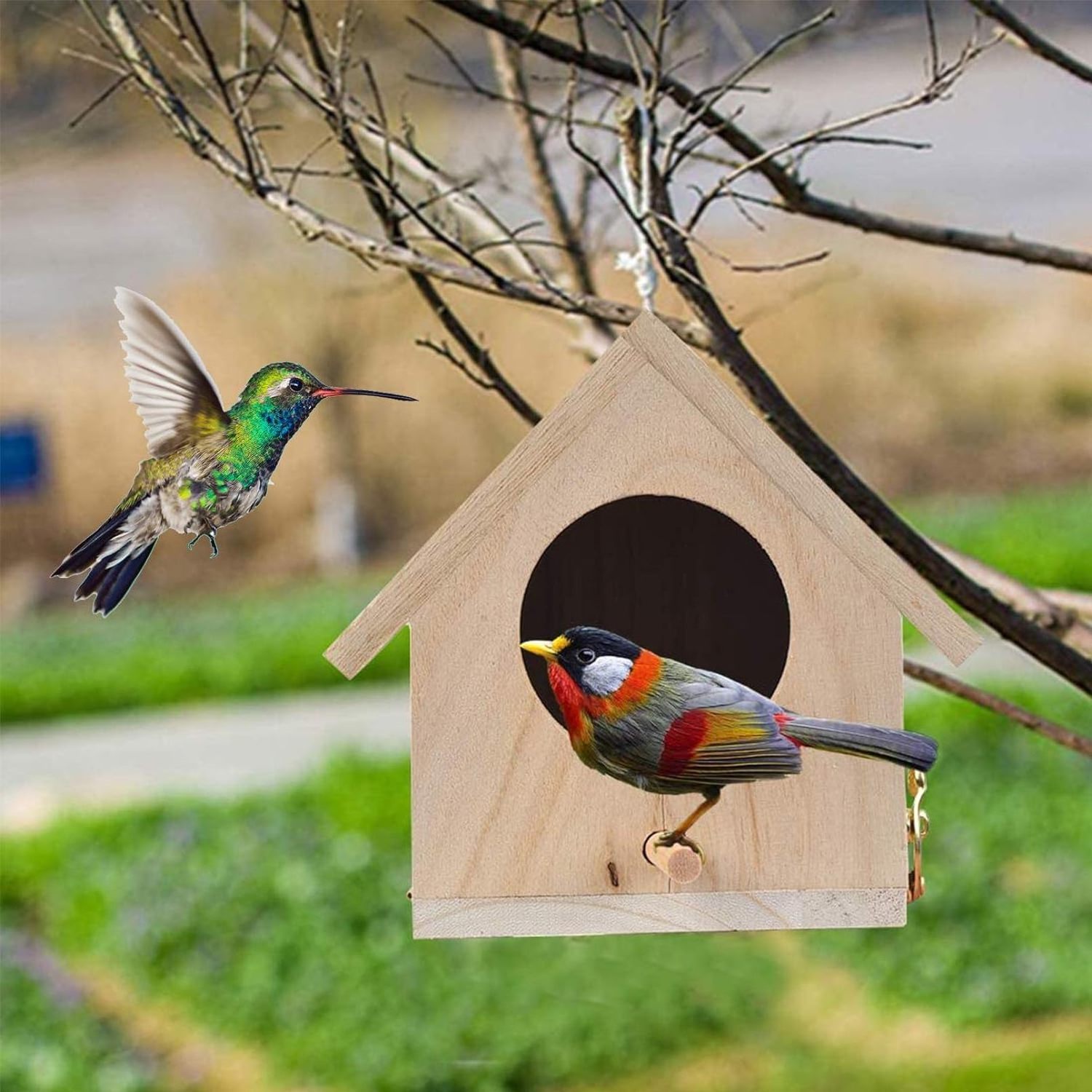 Wood Breeding Bird Stand Perch Aviary Cage Box for Lovebirds Cockatiel