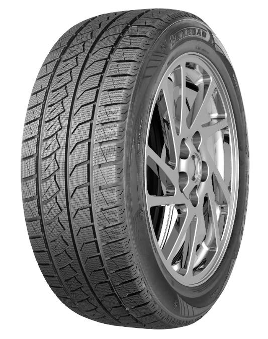 255/45R20 Winter Tires for Europe Market