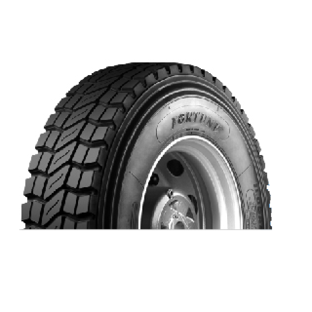 Fortune Tire FT209 13R22.5 CHENGSHAN TIRE CST209 13R22.5 AUSTONE