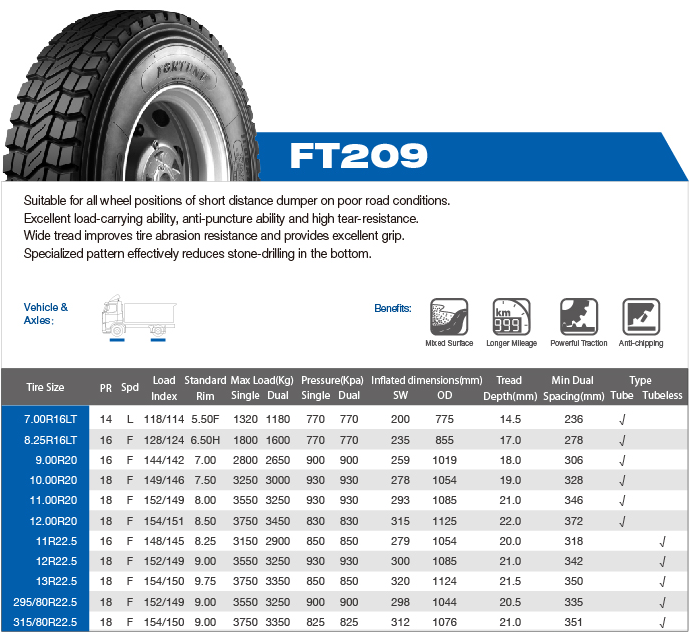 Fortune Tire FT209 13R22.5 CHENGSHAN TIRE CST209 13R22.5 AUSTONE