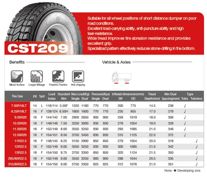 Fortune Tire FT209 13R22.5 CHENGSHAN TIRE CST209 13R22.5 AUSTONE