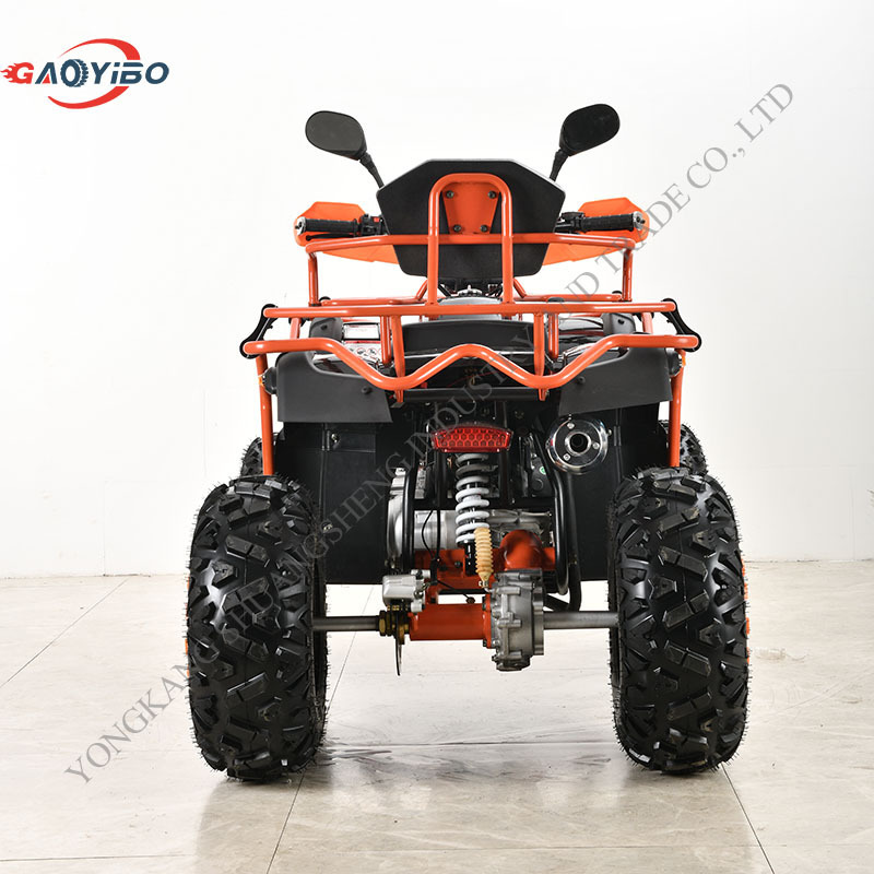 HOT selling Gas ATVs BEST quad bike for adults atv 250cc 4x4 with 4 wheeler cheap for off road ATVs