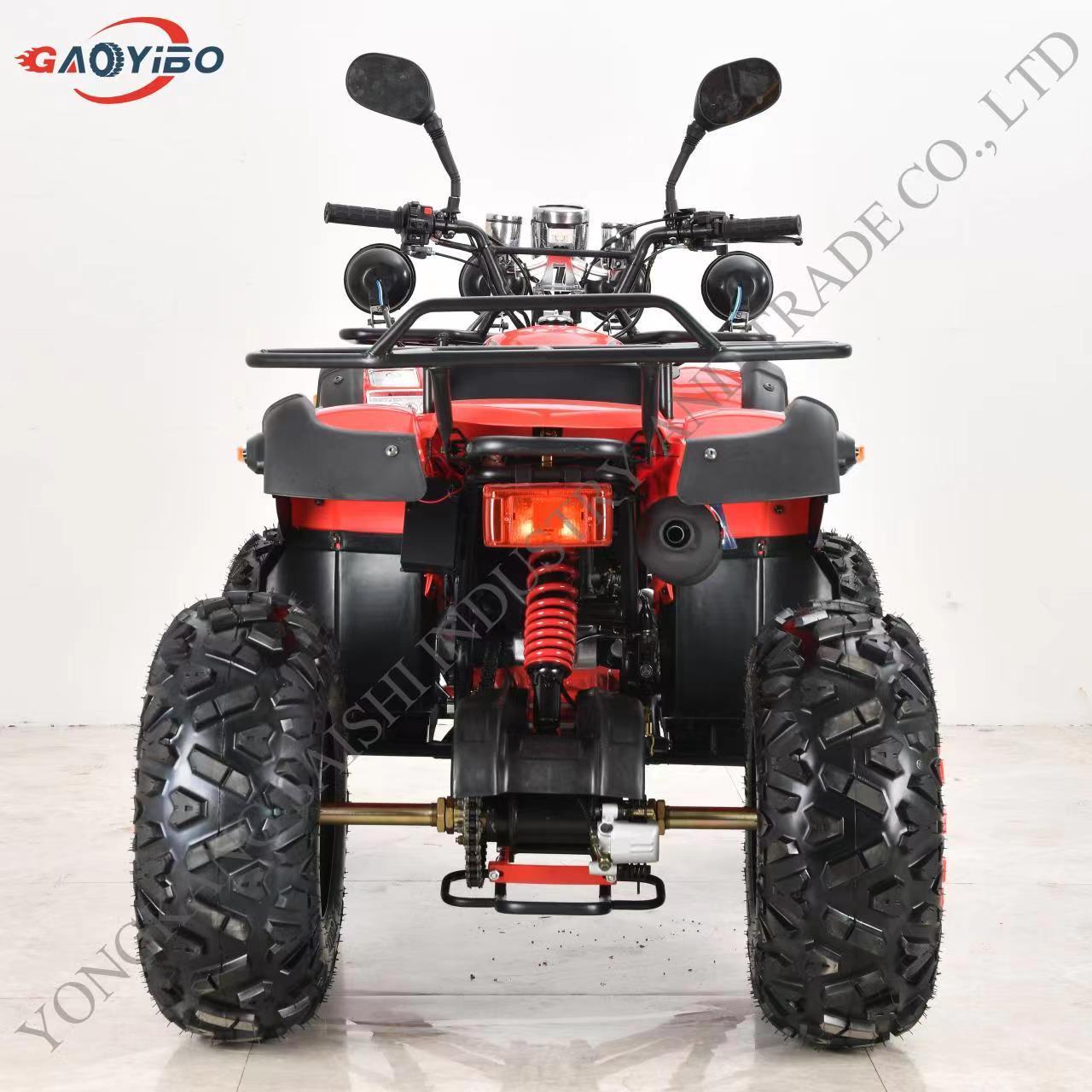 HOT selling Gas ATVs BEST quad bike for adults atv 250cc 4x4 with 4 wheeler amphibious vehicles for sale