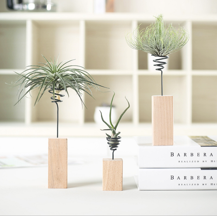 Wooden pile flowerpot desktop decorative small rack for tillandsia mini air plant holder