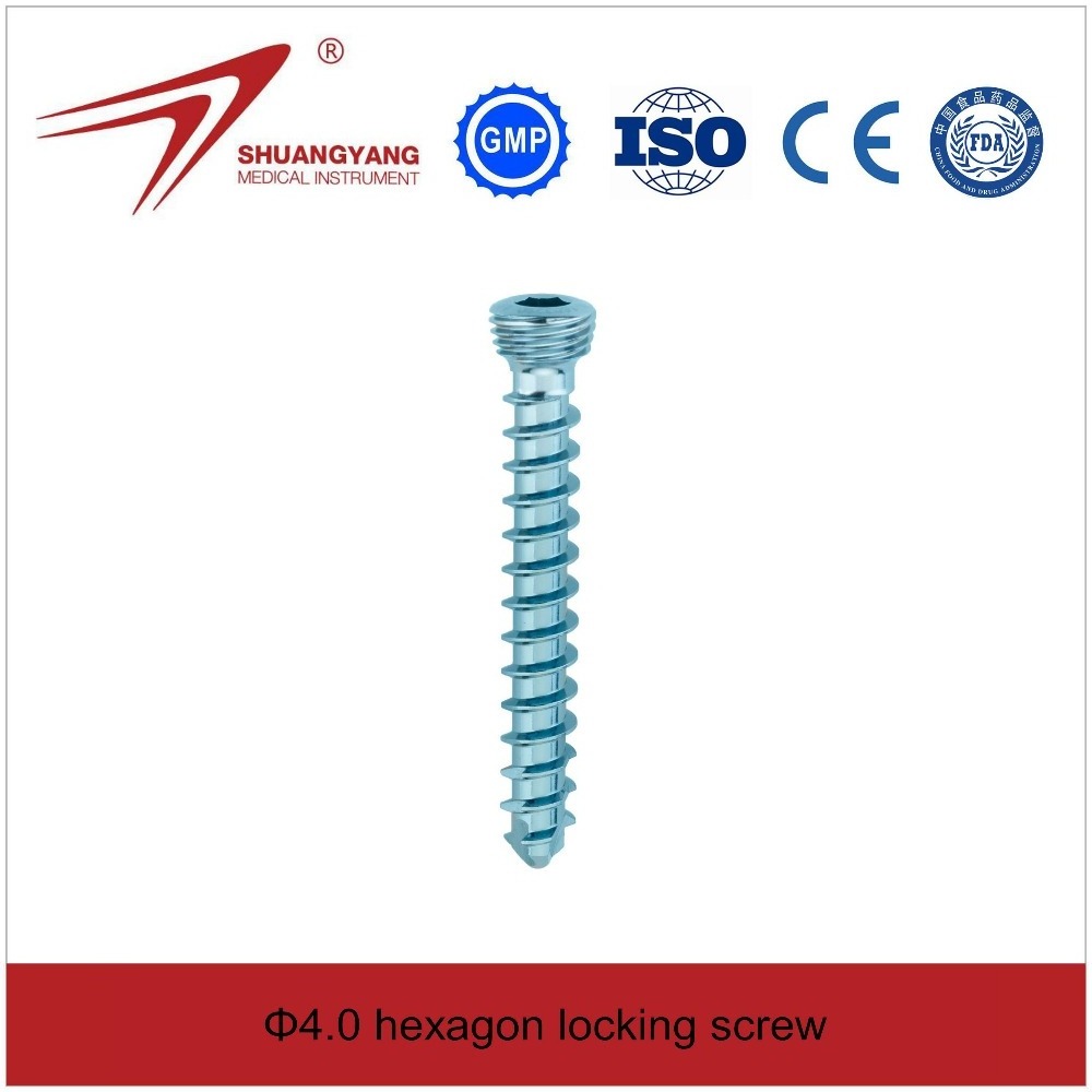 Proximal Humerus Locking Bone Plate (variable angle) - Titanium Orthopedic Implant