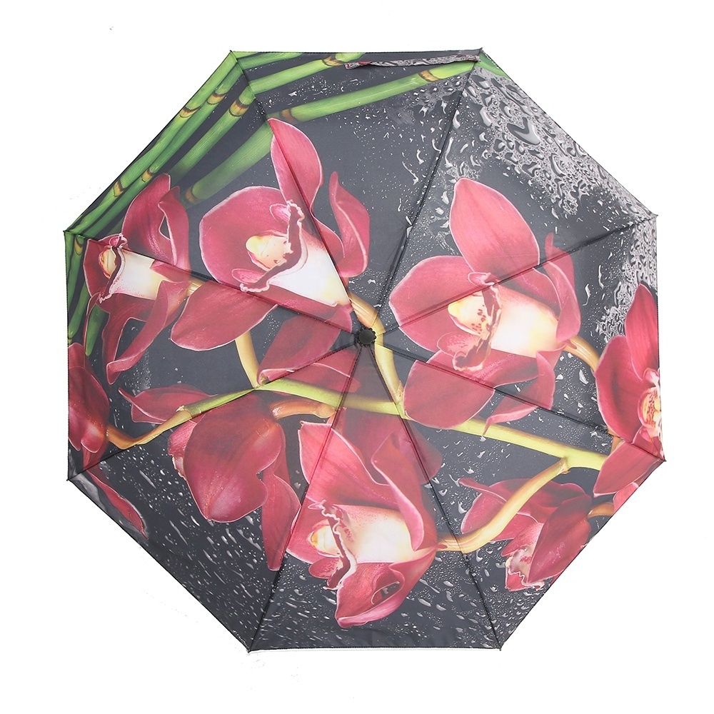 Factory Wholesale Multiple Design Auto Open Close Printed Foldable Umbrella Automatic For Women