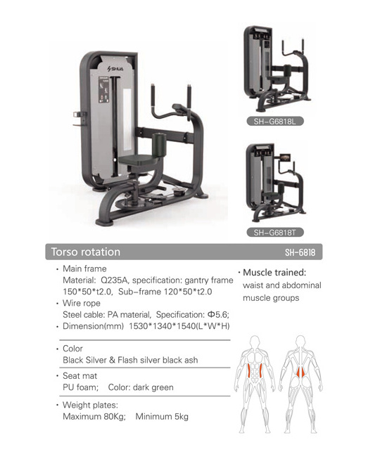 SHUA SH-G6818 Torso Rotation integrated multifunctional gym equipment waist and abdominal muscle training machine