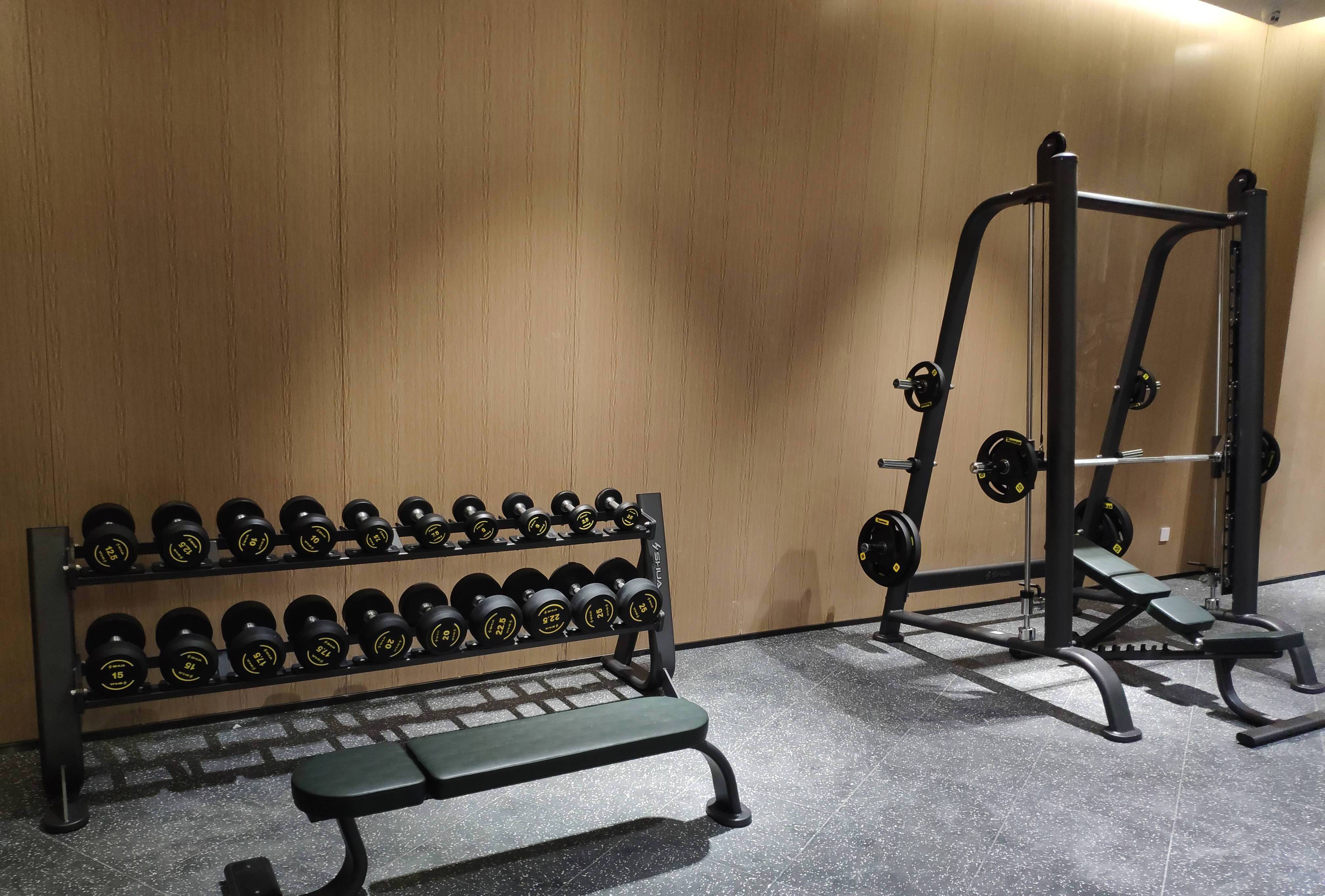 SHUA SH-6884 Two Tier selectorized dumbbell Rack with dumbbell sets Shua fitness gym equipment Shua 68 series