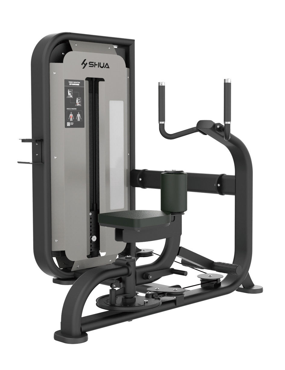 SHUA SH-G6818 Torso Rotation integrated multifunctional gym equipment waist and abdominal muscle training machine