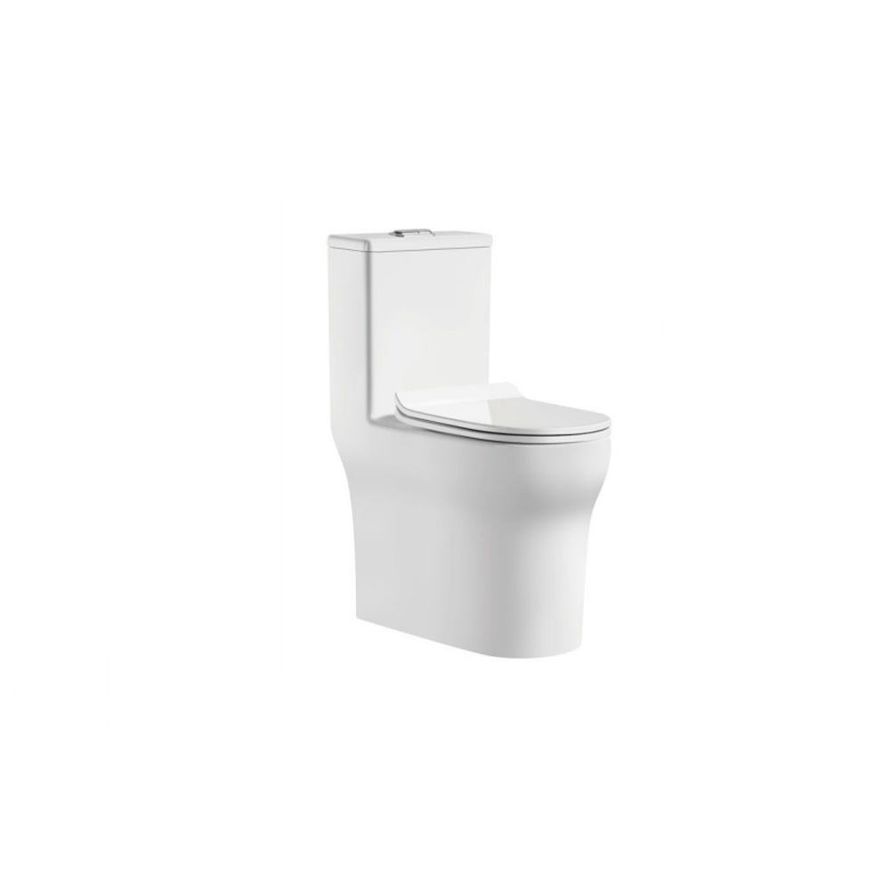 One-Piece Ceramic Western Water Closet P-trap Toilet Modern Style Facoty Price White Plated Toilet Seats