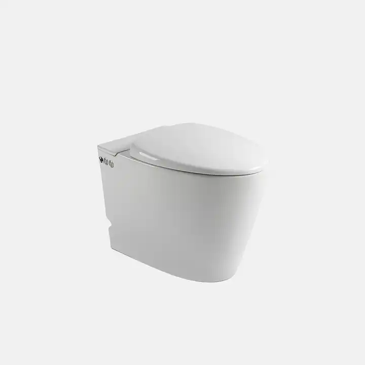 Modern Electronic Pressurized Touch Flushing Tankless WC Ceramic S-trap P-trap Floor Mounted Wholesale Toilet