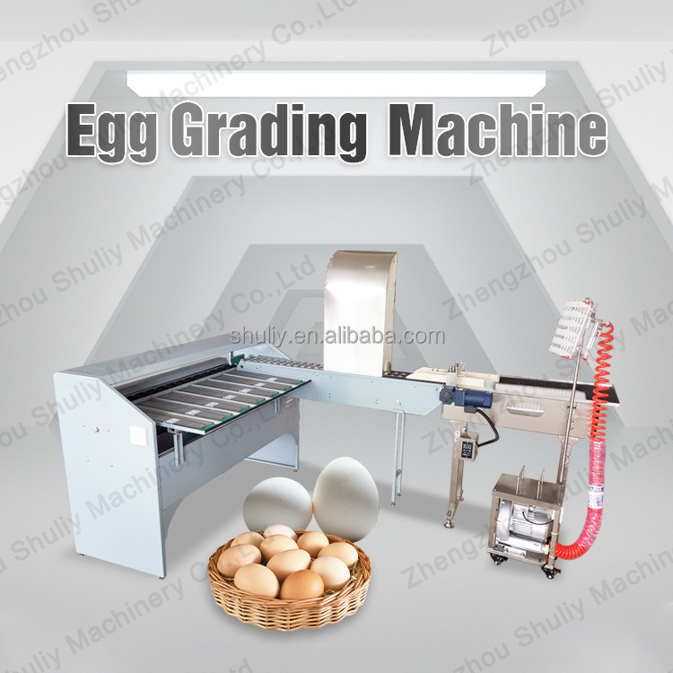 Industrial Egg Grading Machine For Chicken Farm Egg Grader Automatic Egg Cleaner Packer Machine