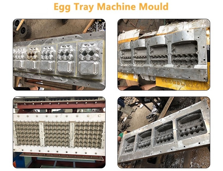 Shuliy Semi Automatic Egg Tray Making Production Line  Paper Pulp Fruit Tray Machine