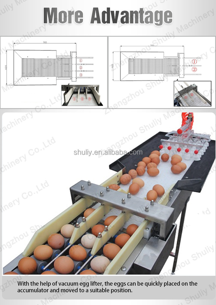 Industrial Egg Grading Machine For Chicken Farm Egg Grader Automatic Egg Cleaner Packer Machine