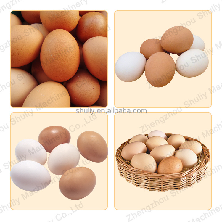 Industrial Egg Grading Machine For Chicken Farm Egg Grader Automatic Egg Cleaner Packer Machine