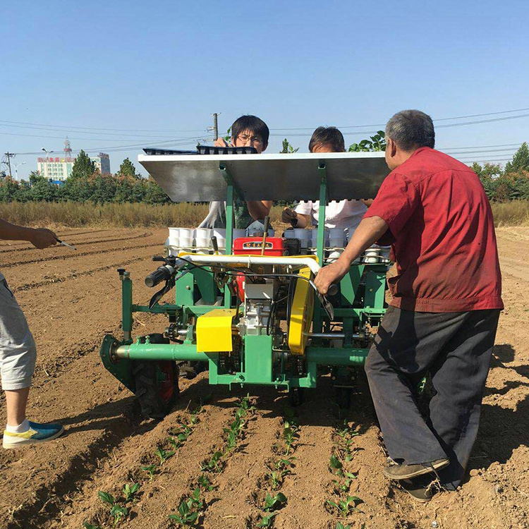 automatic seedling planting machine 2 rows hand push vegetable onion seed planter planter