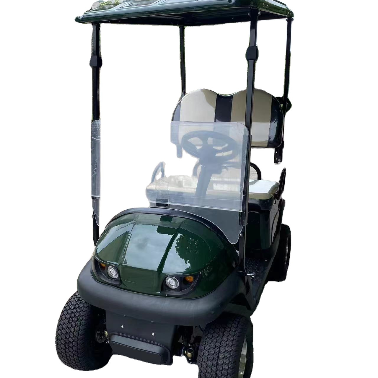 2 seats 2 seater off road push cart golf club cart Electric Golf Cart